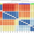 Capture heatmap.PNG